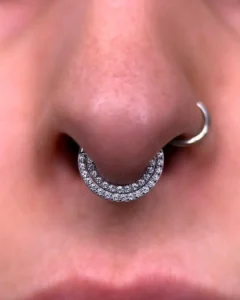 Piercing - Family Addiction Collective